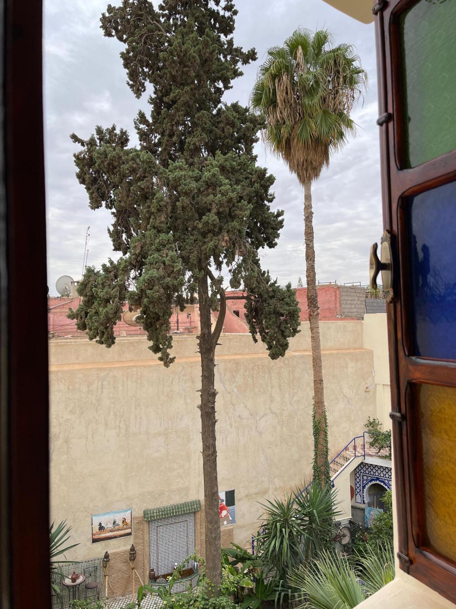Riad 4 Jardins & Spa مراكش المظهر الخارجي الصورة